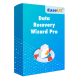 EaseUS Data Recovery Wizard Pro - Lifetime / 1-PC - Global